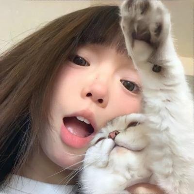 剧终集
