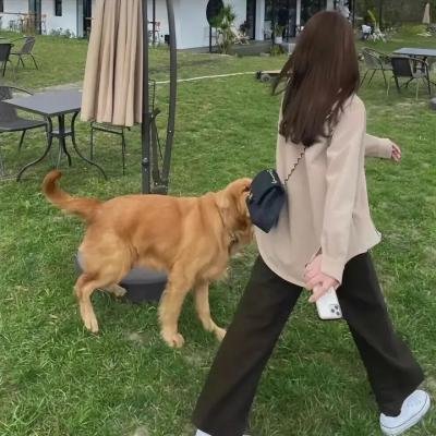 玻碎玻璃理论